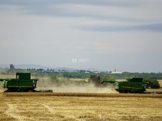 98F5B3DC-0B8C-4ABF-8564-3BC3409867B2_236x177_crop_and_resize_to_fit_478b24840a