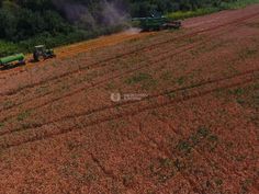 31_236x177_crop_and_resize_to_fit_478b24840a