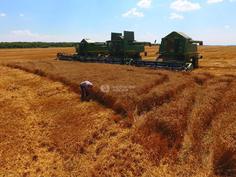 65_236x177_crop_and_resize_to_fit_478b24840a