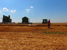 75_236x177_crop_and_resize_to_fit_478b24840a