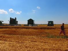 79_236x177_crop_and_resize_to_fit_478b24840a