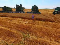 83_236x177_crop_and_resize_to_fit_478b24840a