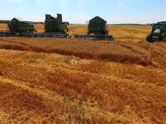 84_236x177_crop_and_resize_to_fit_478b24840a